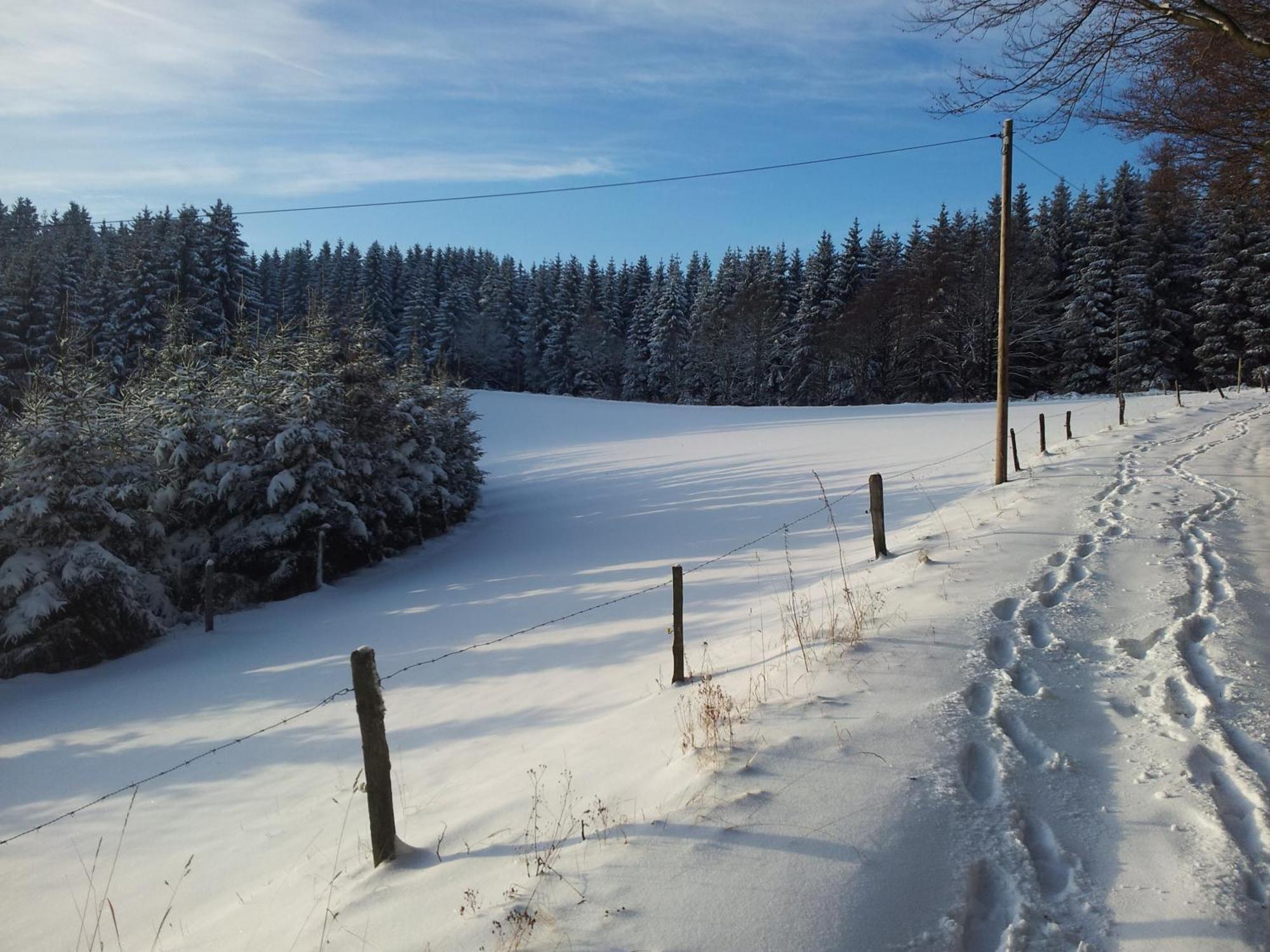 Landgasthof Nesselbach Nordenau Екстериор снимка