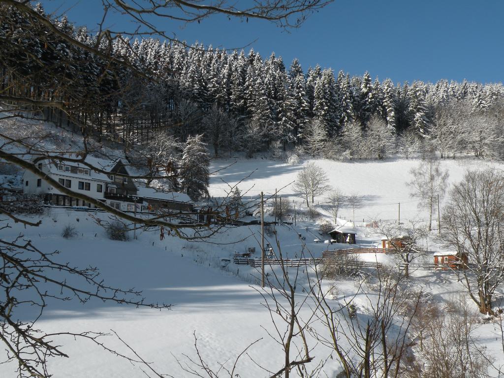 Landgasthof Nesselbach Nordenau Екстериор снимка