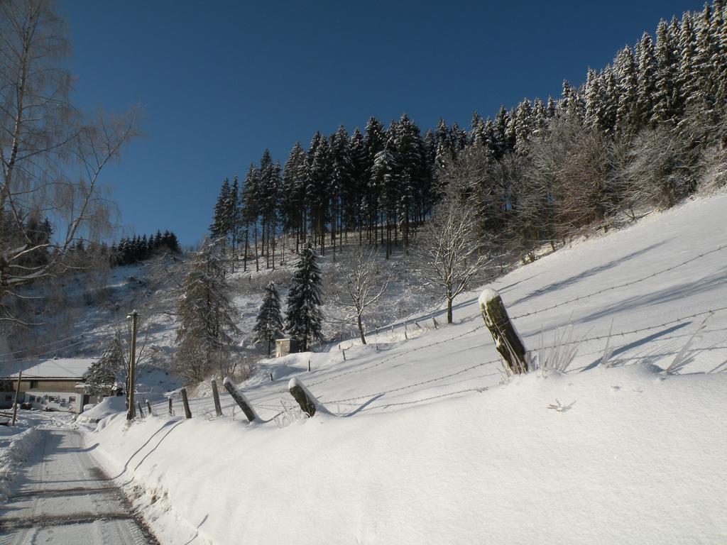 Landgasthof Nesselbach Nordenau Екстериор снимка