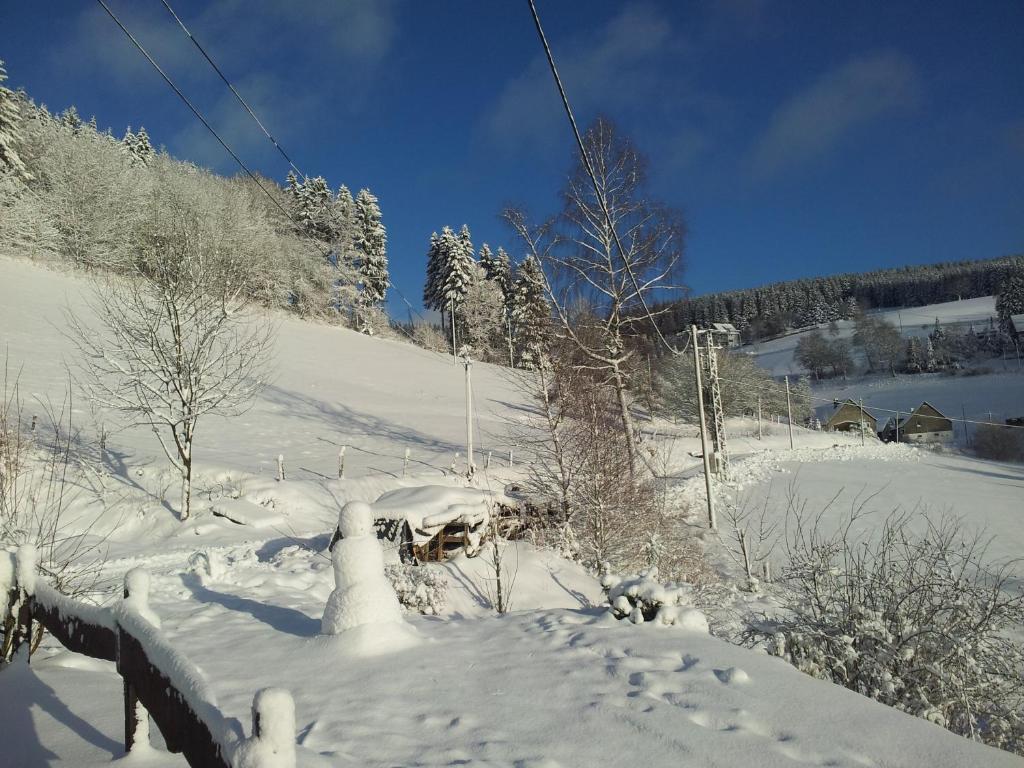 Landgasthof Nesselbach Nordenau Екстериор снимка